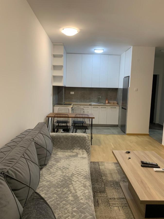 Apartment 45M2 Podgorica Extérieur photo